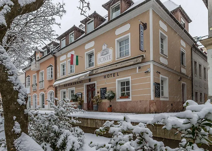 Hotel Fonte